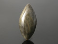 Wood Agate  Marquise