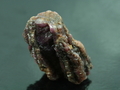 "Fossil-like Tree" Ruby Crystal, Mogok, Myanmar