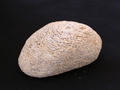 Fine Moonstone Specimen
