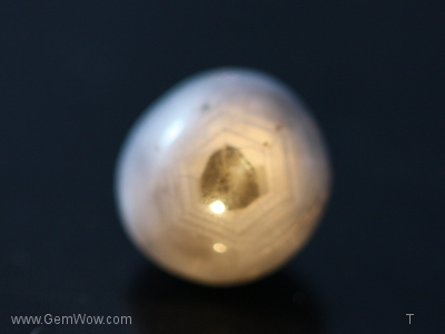 Star Sapphire Cabochon, Sapphire, 6.29 cts, 9.42 x 6.56 x 9.75 x mm