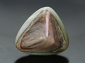 Wood Fossil Cabochon